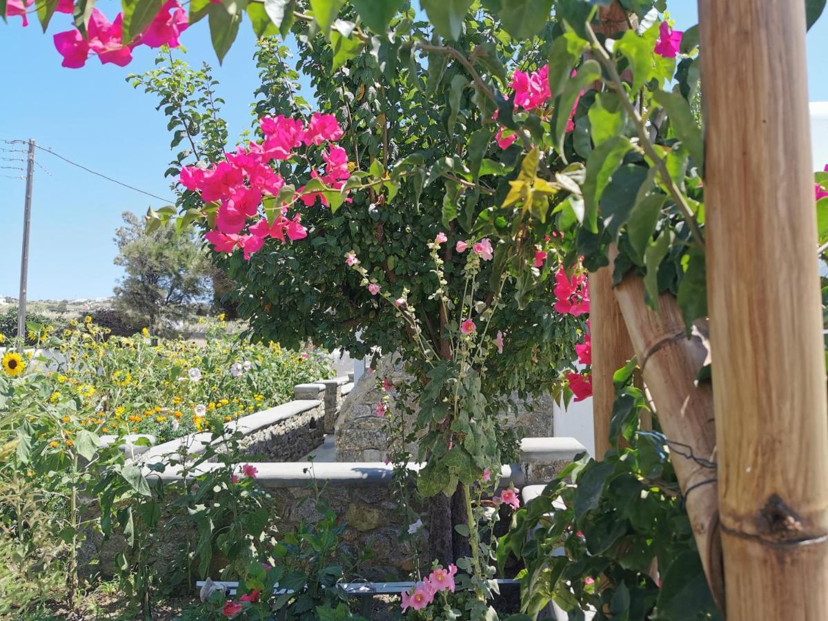 Anais Mykonos Town